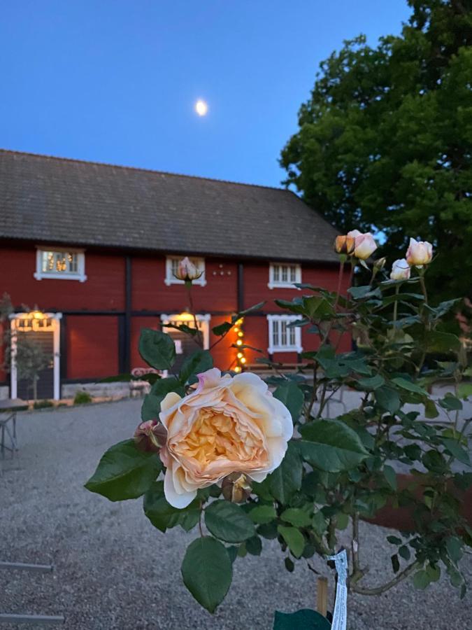 Cafe Mandeltartan Villafloraviola Ronneby